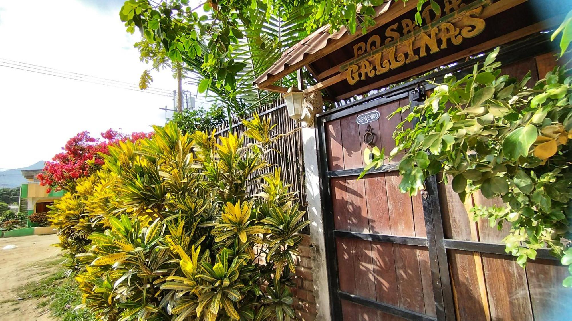 Posada Gallinas Palomino Exterior photo