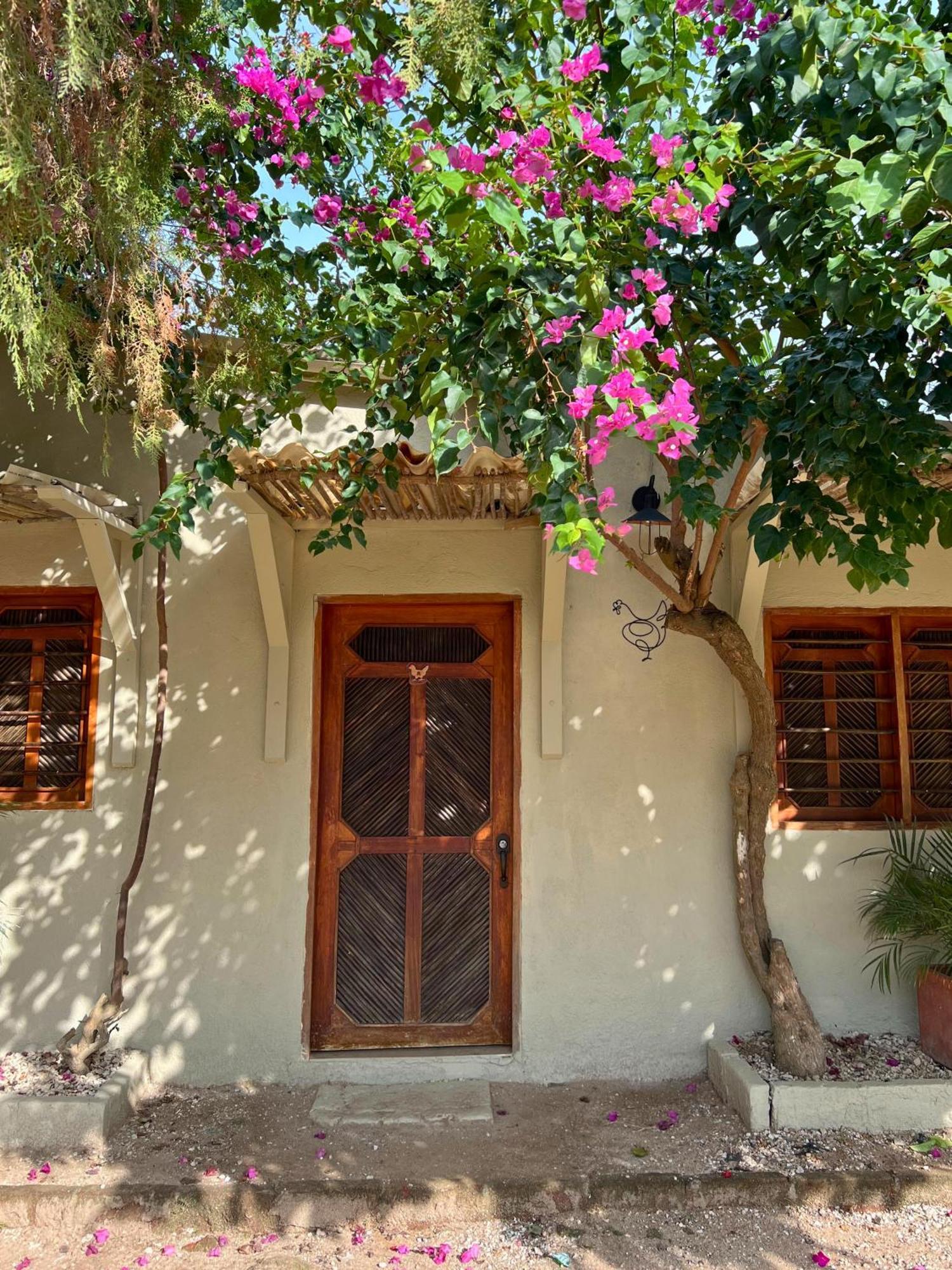 Posada Gallinas Palomino Exterior photo